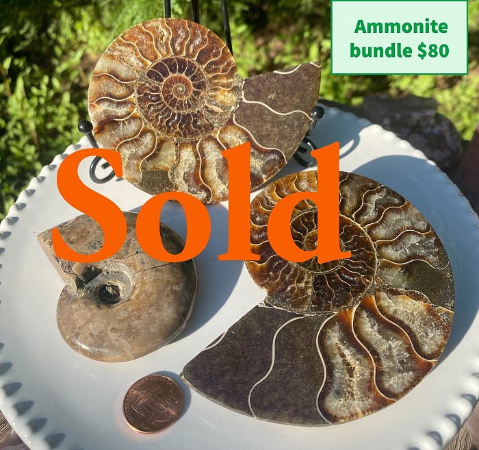 Crystal, ammonite crystal , fossil, old crystal, natural fossil, crystal  for sale